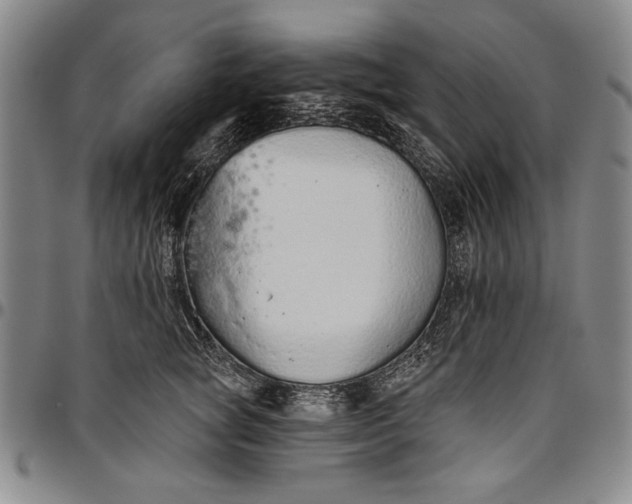 X0000096630757200802191156