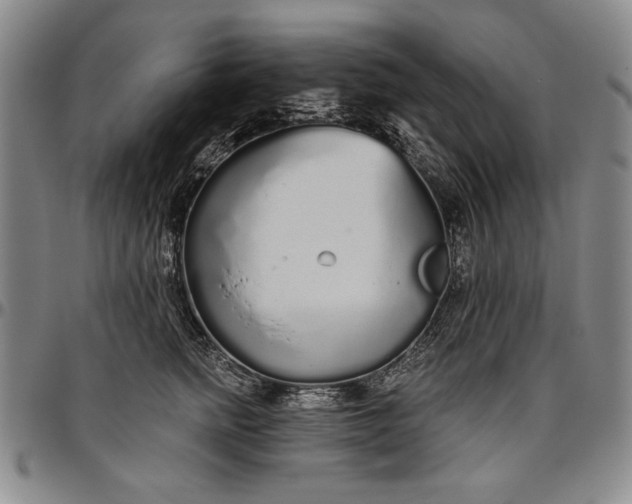 X0000096630758200802191156