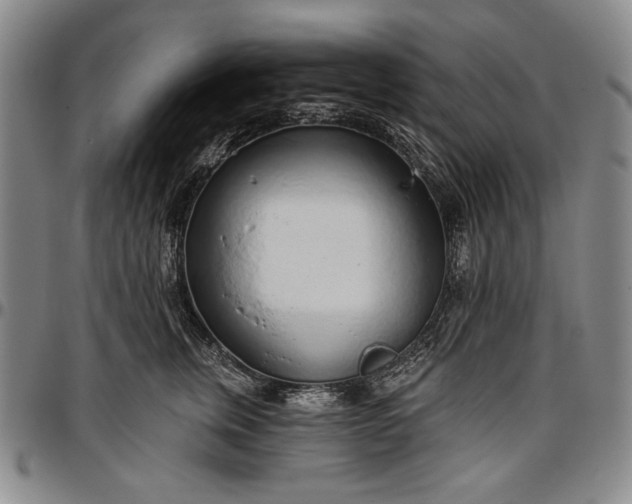 X0000096630759200802191156