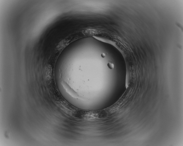 X0000096630760200802191156