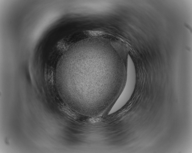 X0000096630762200802191156