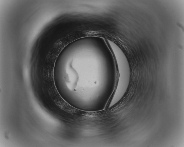X0000096630763200802191156