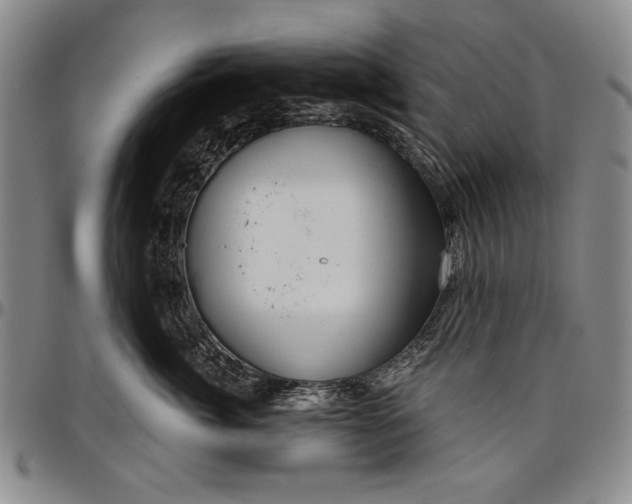 X0000096630764200802191156