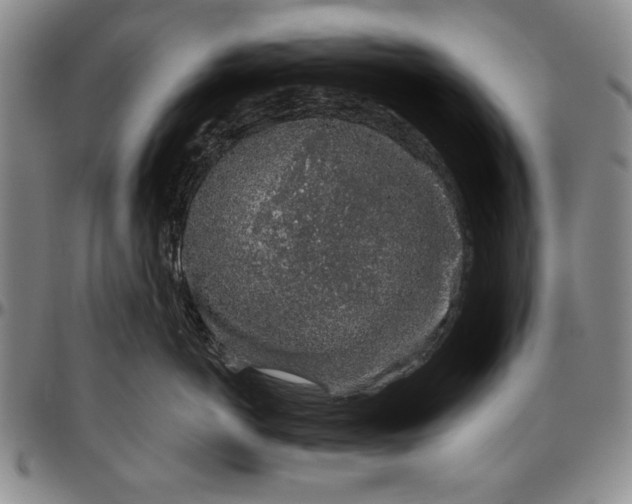 X0000096630766200802191156