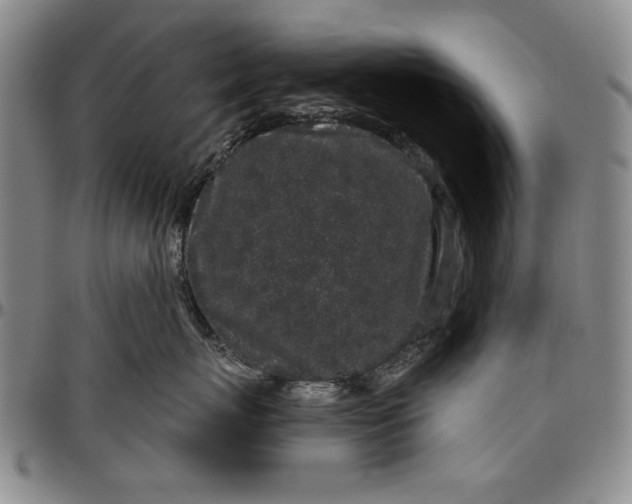 X0000096630767200802191156