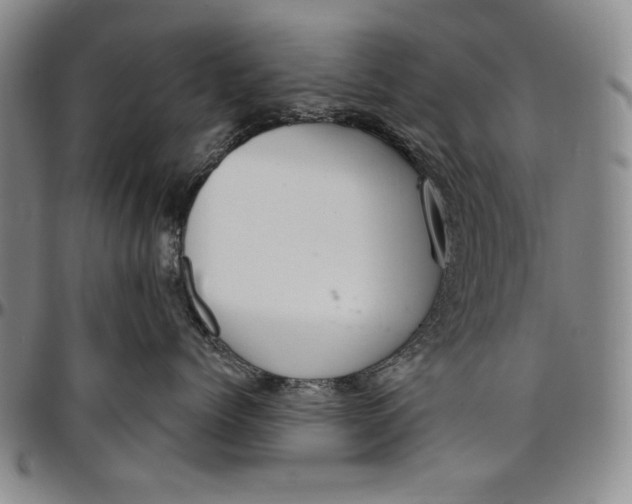 X0000096630768200802191156