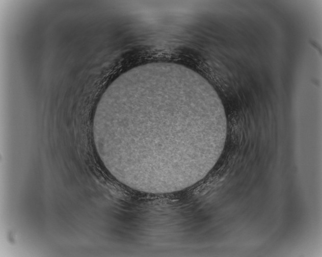 X0000096630769200802191155