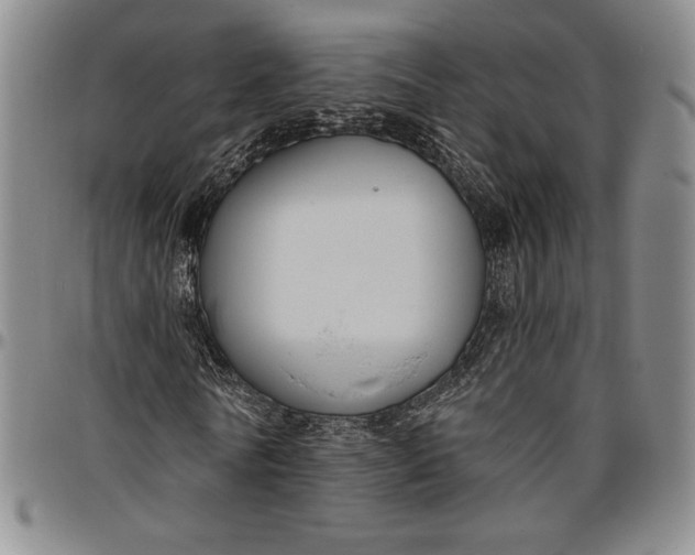 X0000096630770200802191155