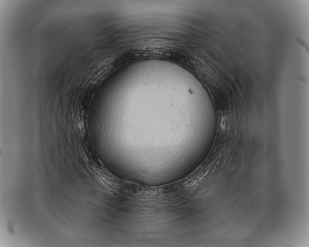 X0000096630771200802191155