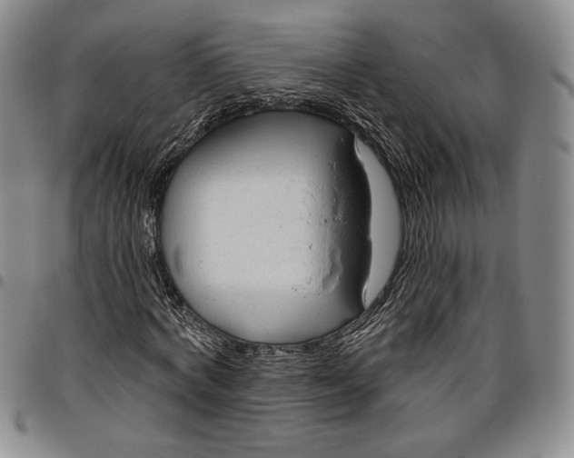 X0000096630772200802191155