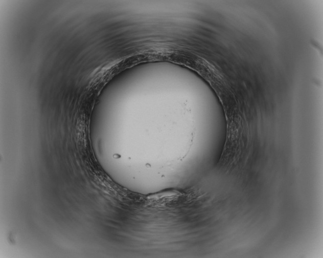 X0000096630773200802191155