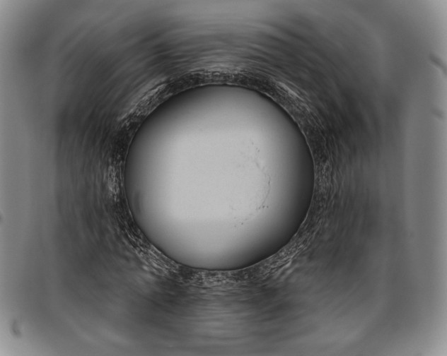 X0000096630774200802191155