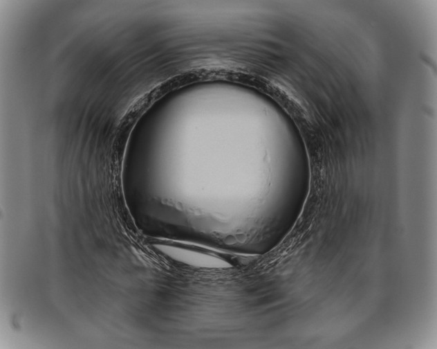 X0000096630775200802191155