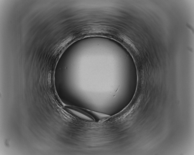 X0000096630777200802191155