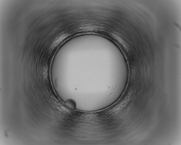 X0000096630778200802191155