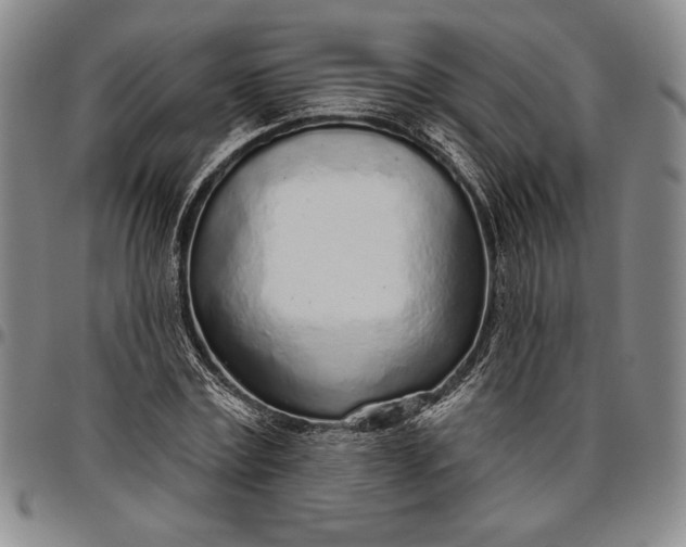 X0000096630779200802191155