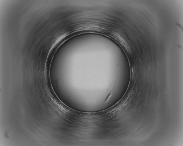 X0000096630780200802191155