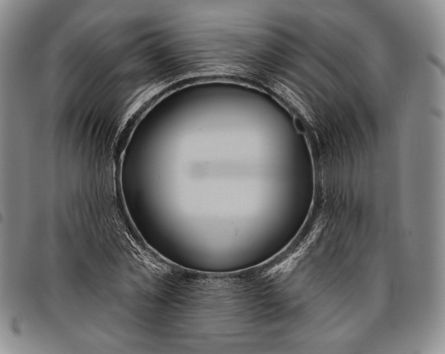 X0000096630781200802191155