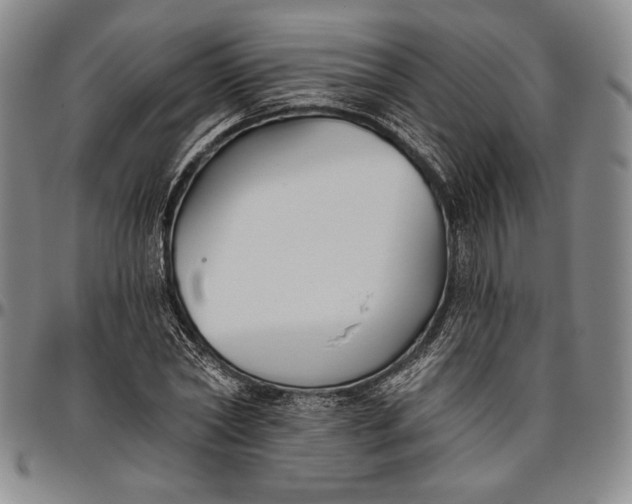 X0000096630782200802191155