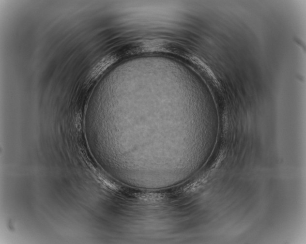 X0000096630785200802191155