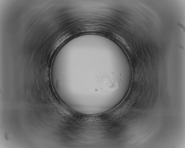 X0000096630786200802191155
