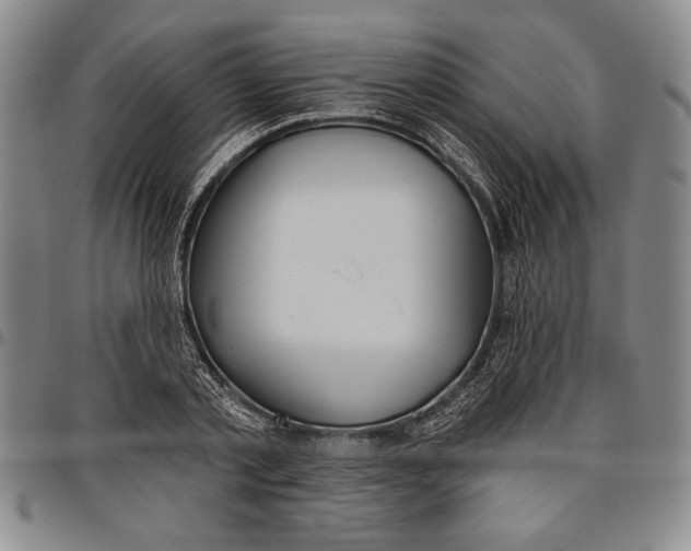 X0000096630789200802191155