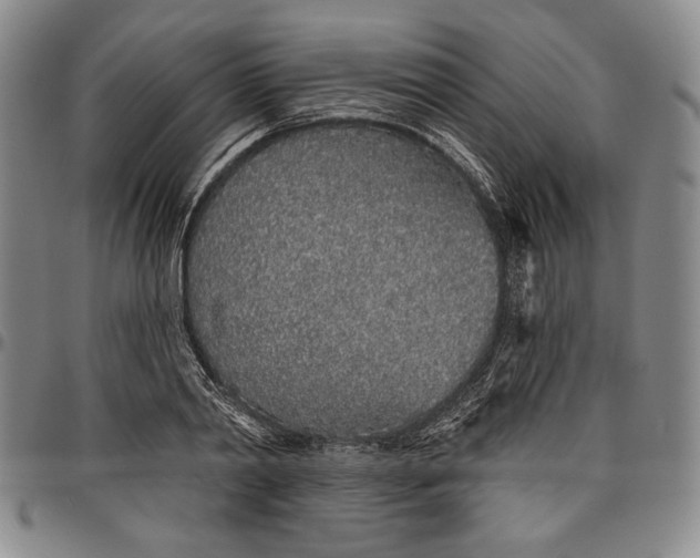X0000096630790200802191155