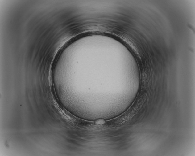 X0000096630791200802191155