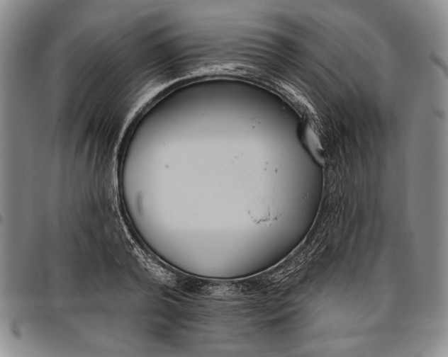X0000096630792200802191155