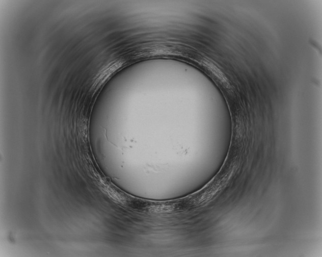 X0000096630793200802191155