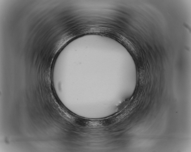 X0000096630794200802191155