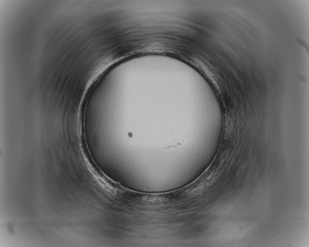 X0000096630795200802191155