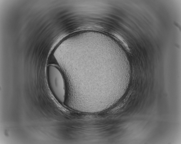 X0000096630796200802191155