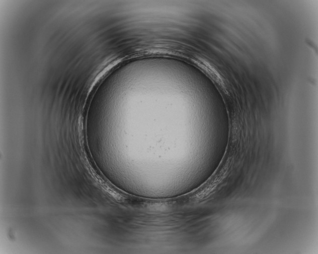 X0000096630798200802191155