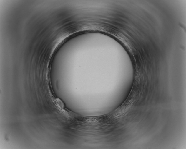 X0000096630799200802191155