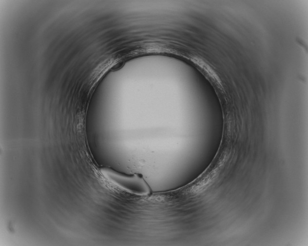 X0000096630801200802191155