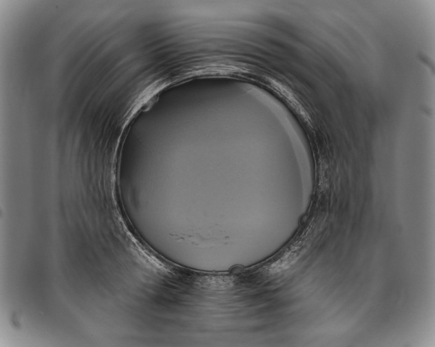 X0000096630802200802191155