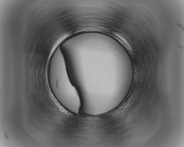 X0000096630804200802191155