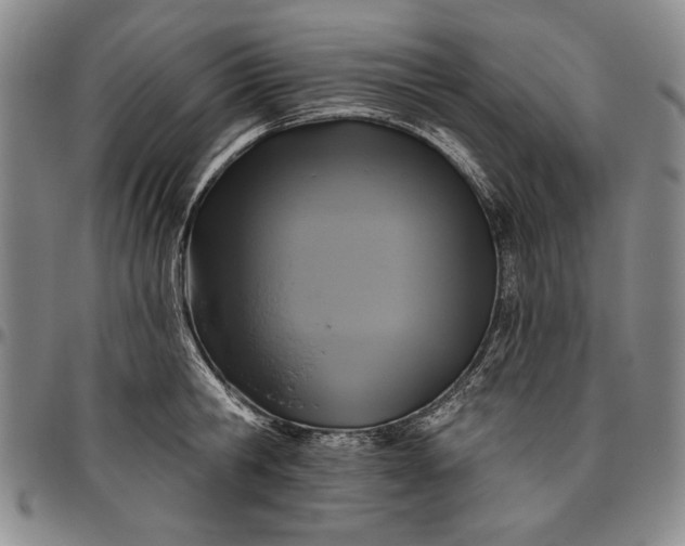 X0000096630806200802191155