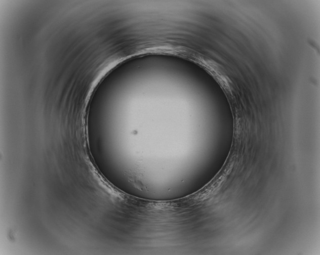 X0000096630808200802191155