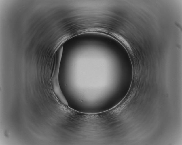 X0000096630809200802191155