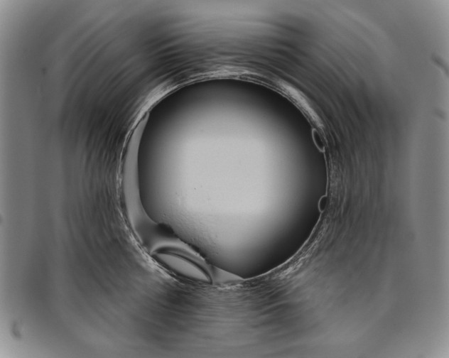X0000096630810200802191155