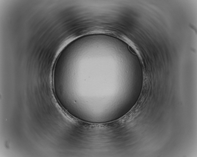 X0000096630811200802191155