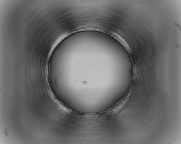X0000096630812200802191155