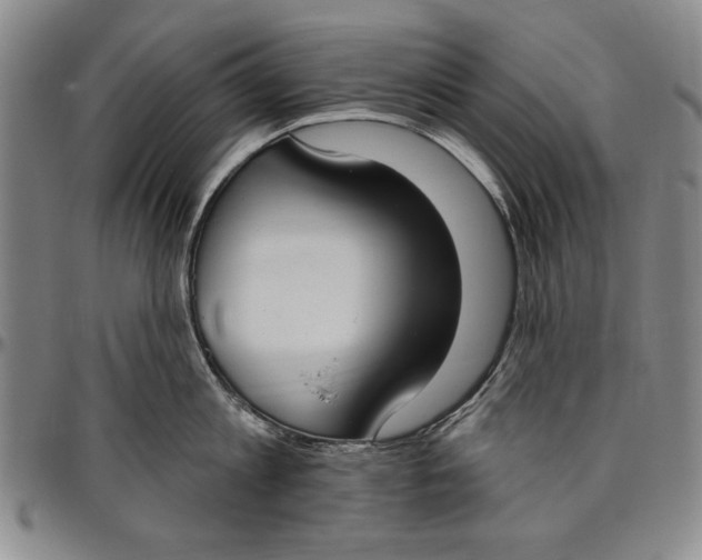 X0000096630813200802191155