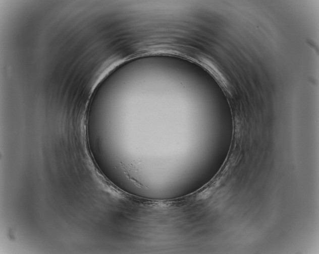 X0000096630814200802191155