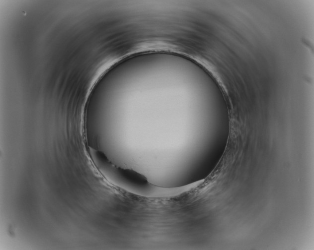 X0000096630815200802191155
