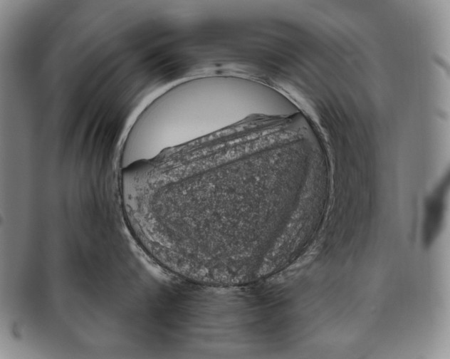 X0000096630816200802191155