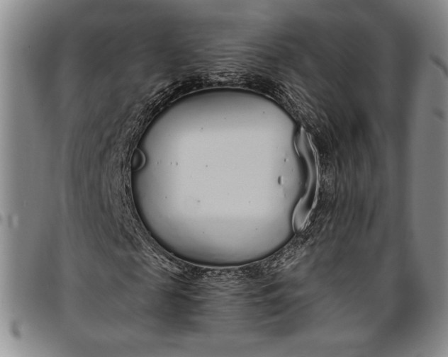X0000096630817200802191154