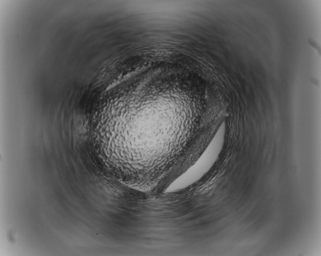 X0000096630818200802191154